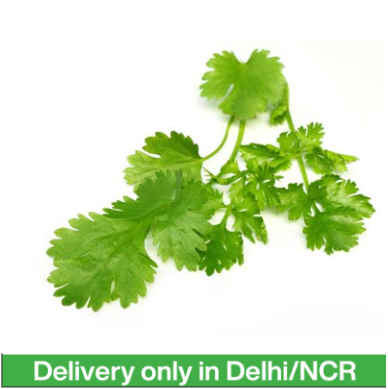 Hara Dhaniya / Green Coriander (100g)
